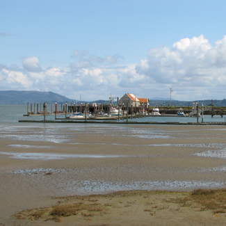 Birding Site of the week image